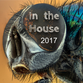Various Artists - In the House 2017 (Explicit)