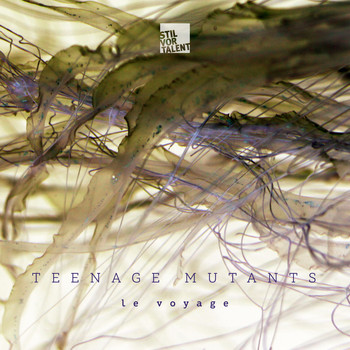 Teenage Mutants - Le voyage