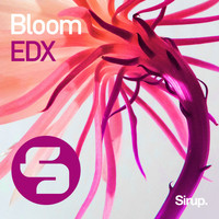 EDX - Bloom
