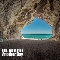 Dr. Nindii - Another Day