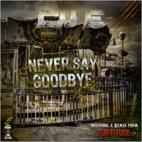 DJ E - Never Say Goodbye