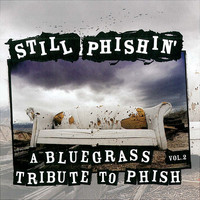 Pickin' On Series - Still Phishin': a Bluegrass Tribute to Phish, Vol. 2
