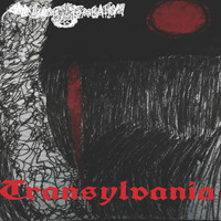 Prime Creation - Transylvania