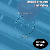 Wah Mui Orchestra - Lost My Love - House Mixes