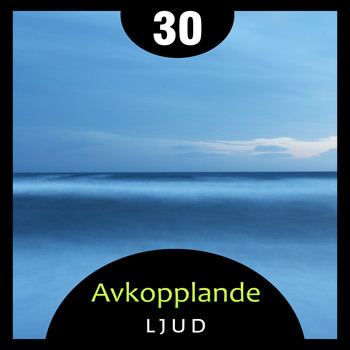 Various Artists - 30 Avkopplande ljud - Lugnande musikterapi för yoga, meditation, sömn och reiki, Naturlig omgivnin