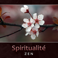 Méditation sanctuaire de guérison - Spiritualité zen - Musique orientale avec nature pour sophrologie et méditation, Énergie du reiki