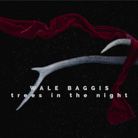 Wale Baggis - Trees in the Night