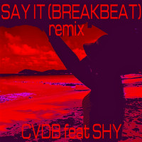 CVDB - Say It (Breakbeat Remix [Explicit])