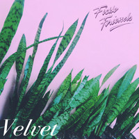 Fickle Friends - Velvet - EP