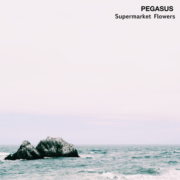 Pegasus - Supermarket Flowers