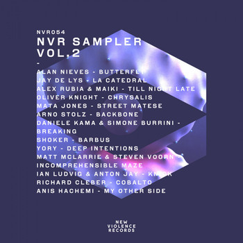 Various Artists - Nvr Sampler, Vol. 2