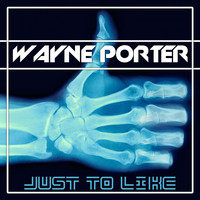 Wayne Porter - Just to Like