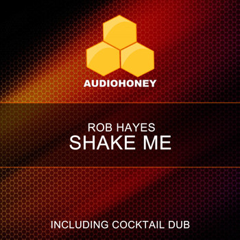 Rob Hayes - Shake Me