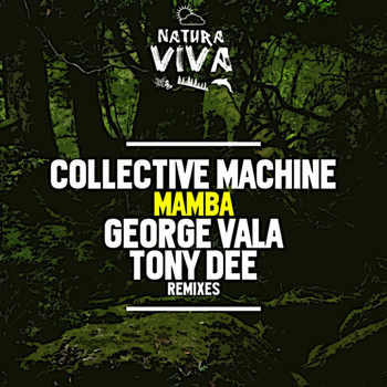 Collective Machine - Mamba