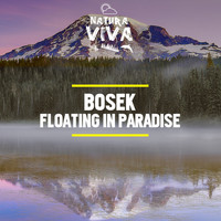 Bosek - Floating in Paradise