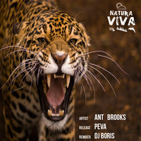 Ant Brooks - Peva