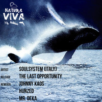 Soulsystem (Italy) - The Last Opportunity