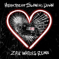 The All-American Rejects - Heartbeat Slowing Down (Zak Waters Remix)