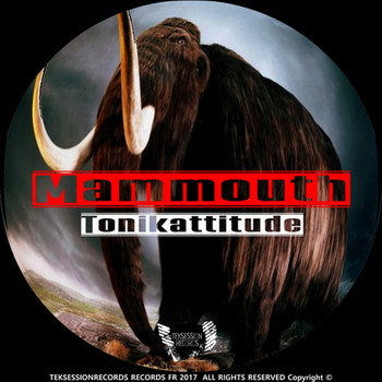Tonikattitude - Mammouth