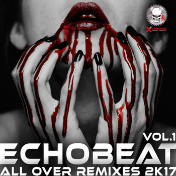 Echobeat - All Over Remixes 2k17, Vol. 1