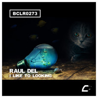 Raul Del - I Like To Looking