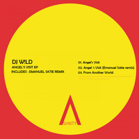 DJ W!LD - Angel's Visit EP