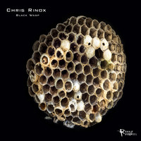 Chris Rinox - Black Wasp