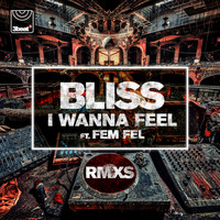 Bliss - I Wanna Feel (Remixes)