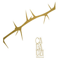 Cabadzi - Des angles et des épines