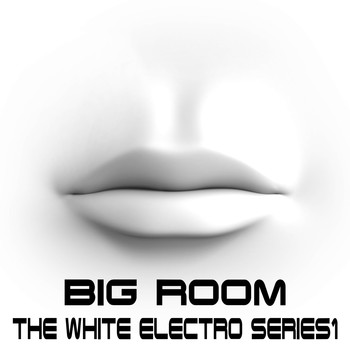 Various Artists - Big Room, The White Electro Series Vol.1