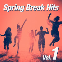 Partyhits, Spring Break, Spring Break DJ Party - Spring Break Hits, Vol. 1