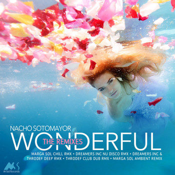 Nacho Sotomayor - Wonderful (The Remixes)