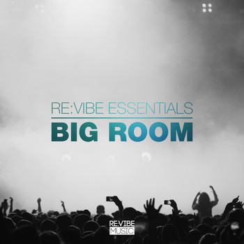 Various Artists - Re:Vibe Essentials - Big Room, Vol. 1