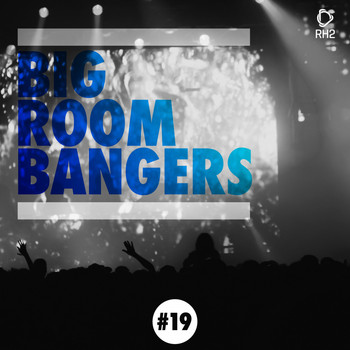 Various Artists - Big Room Bangers, Vol. 19