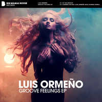 Luis Ormeño - Groove Feelings EP