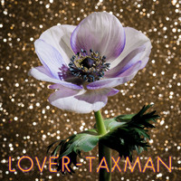 Lover - Taxman