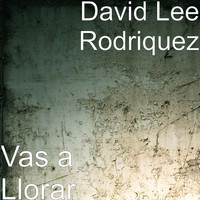David Lee Rodriquez - Vas a Llorar