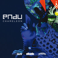 Pnau - Chameleon