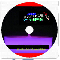 The Sparks Of Life Band - WHAT IZ S.M.(SOCIAL MEDIA)