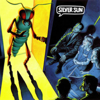 Silver Sun - Sun