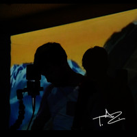 T.A.Z. - T.A.Z. Temporary Autonomous Zone