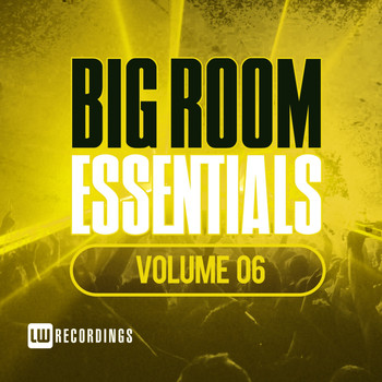 Various Artists - Big Room Essentials, Vol. 06