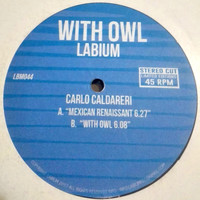 Carlo Caldareri - With  Owl