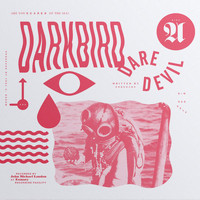 Darkbird - Daredevil
