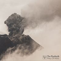 The Flashbulb - Piety of Ashes