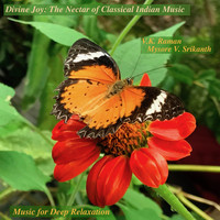 Music for Deep Relaxation - Divine Joy: The Nectar of Classical Indian Music
