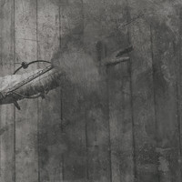 William Ryan Fritch - In Our Blood