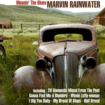 Marvin Rainwater - Moanin' the Blues: 20 Diamonds Mined from the Past
