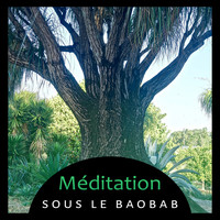 Méditation sanctuaire de guérison - Méditation sous le baobab - Musique spirituelle pour l'harmonie intérieure et l'équilibre, Reiki,