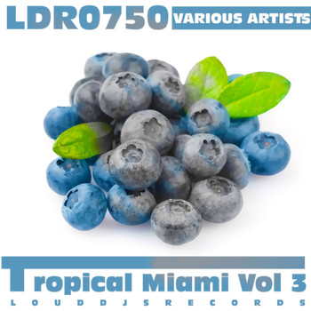Various Artists - Tropical Miami, Vol. 3